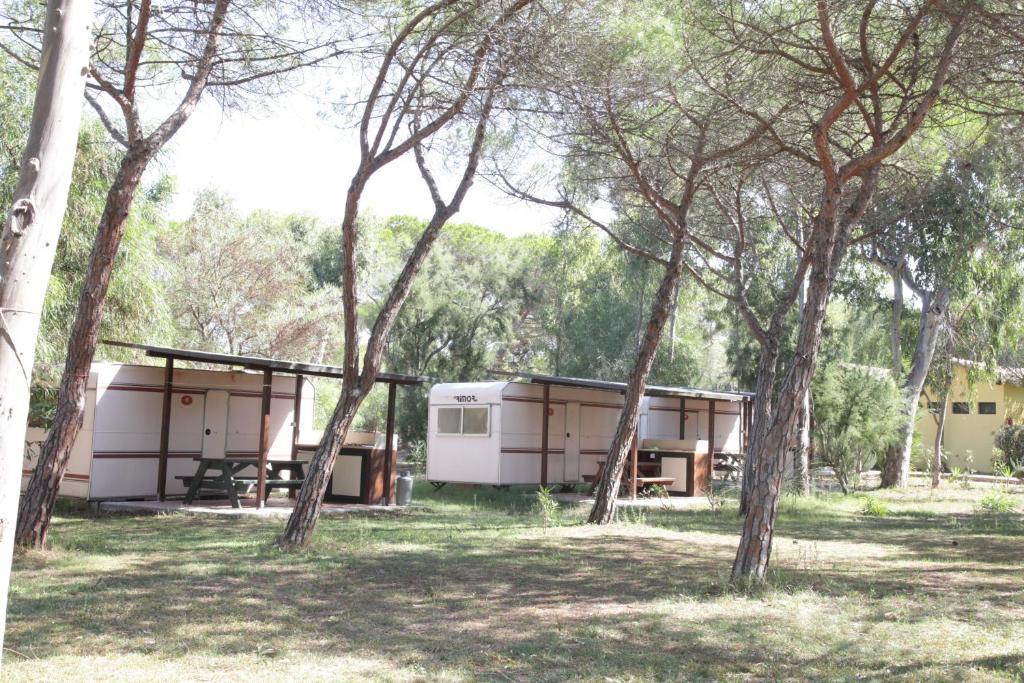 Hôtel Camping Golfo Dell'Asinara à Platamona Chambre photo