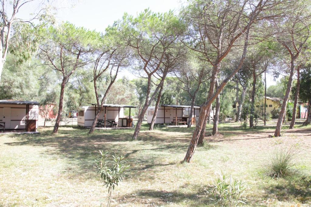 Hôtel Camping Golfo Dell'Asinara à Platamona Chambre photo